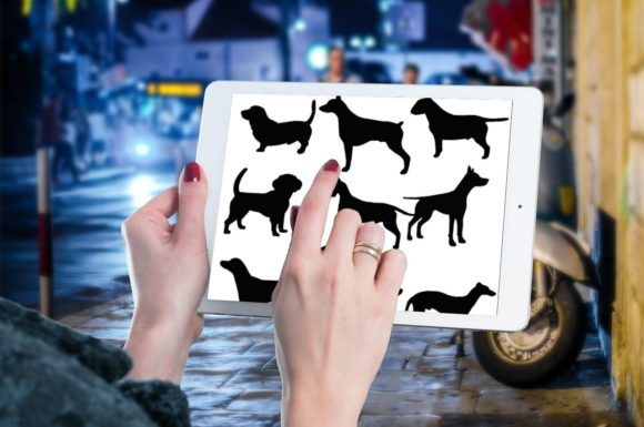 10 Beautiful Dog Brush Stamps V 2: Enhancing Digital Art with Canine Charm